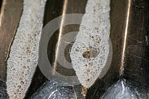 Detergent bubble on metal surface in the kitchen