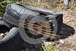 Deteriorated abandoned tire with rusty steel cords