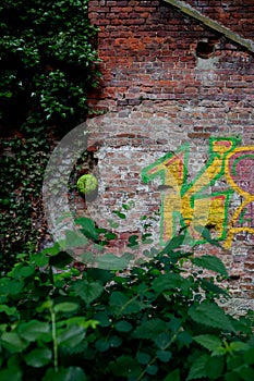 Deteriorated graffiti brick wall nature , Leuven, Belgium