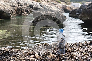 Deteriorated plastic bottle returned by the sea