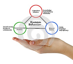 Determinants of Human Behavior