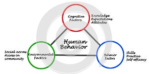 Determinants of Human Behavior