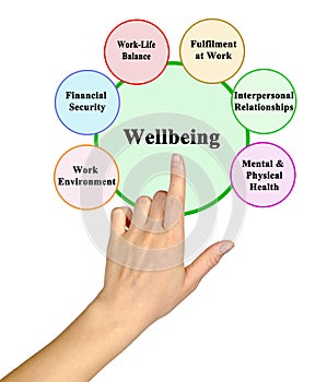 determinants for workers` wellbeing