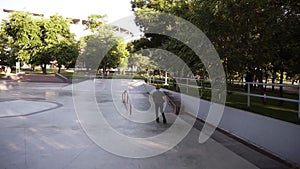 Determinated young man running on inline roller skates at ramp in public skate park, makes a jump and hangs in a time