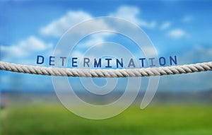 Determination