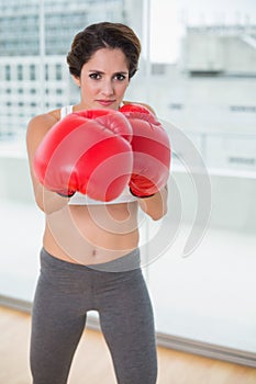 Determined brunette boxing and looking at camera