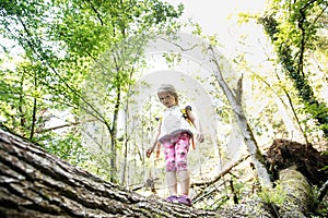 Determined little girl scout standing on a log in the woods