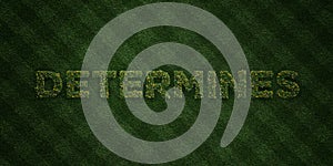 DETERMINES - fresh Grass letters with flowers and dandelions - 3D rendered royalty free stock image