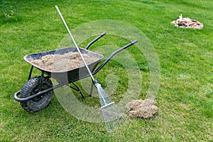 Dethatching lawn with a rake moss removal in the spring garden