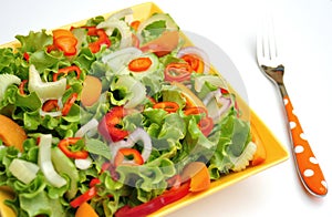 Detox food with raw vegetables on a plate