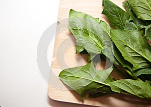 Detox food: spinach