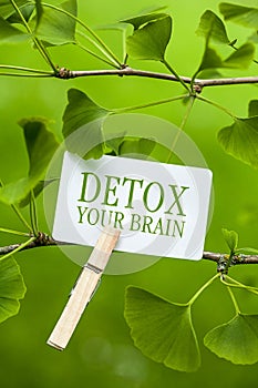 Detox your Brain photo