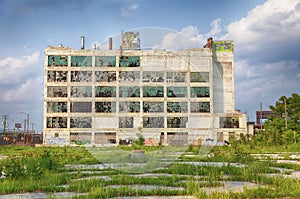 Detroit Factory Ruins