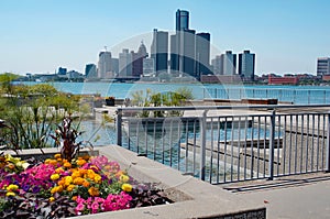 Detroit Scenic Taken From Canada With flowers in foreground