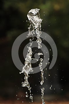 Schizzo di acqua - splash of water photo