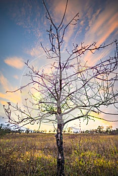 Deva citadel at the sunset