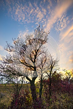 Deva citadel at the sunset