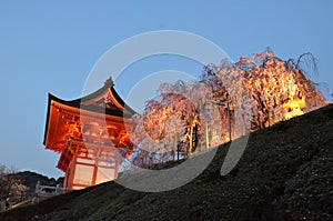 Deva gate or Niomon and Sakura tree