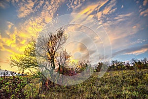 Deva hill citadel at the sunset