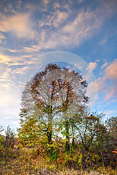 Deva hill citadel at the sunset