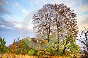 Deva hill citadel at the sunset