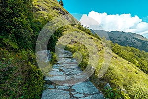 Devaria Tal Trek - Uttrakhand