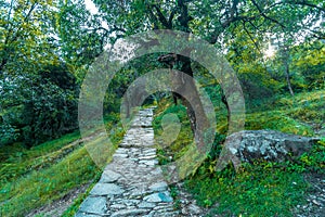 Devaria Tal Trek - Uttrakhand