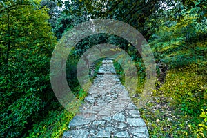 Devaria Tal Trek - Uttrakhand