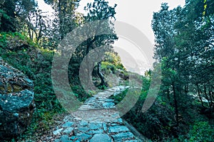 Devaria Tal Trek - Uttrakhand