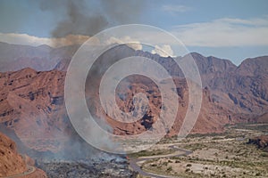 Devastation of fire, beside road - cafayate, North of argentina