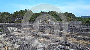 Devastation of mangrove forest on langkawi. Lovely aerial top view flight drone