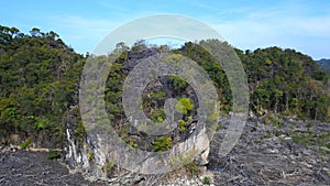 Devastation of mangrove forest on langkawi. Magic aerial top view flight drone