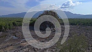 Devastation of mangrove forest on langkawi. Stunning aerial view flight drone