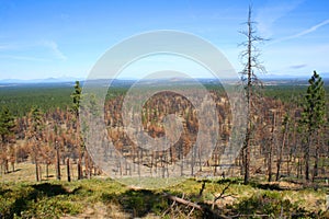 Devastation and Recovery