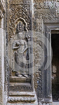 Devata in Ta Prohm Temple