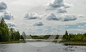 A developed bog lake, swampy meadows and bogs wonderful cumulus clouds and reflections in the water, Sedas heath, Latvia