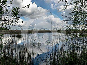 A developed bog lake, swampy meadows and bogs wonderful cumulus clouds and reflections in the water, Sedas heath, Latvia