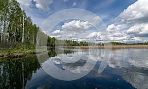 A developed bog lake, swampy meadows and bogs wonderful cumulus clouds and reflections in the water, Sedas heath, Latvia