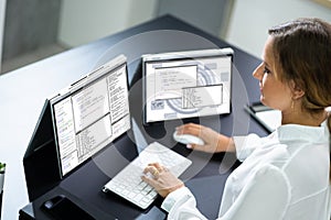 Developer Programmer Woman Coding Software