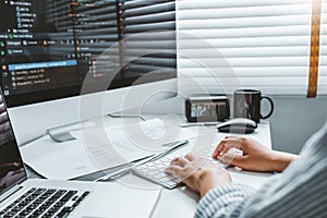 Developing programmer Development Website design and coding technologies working at home
