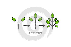 Development, growth, evolution icon