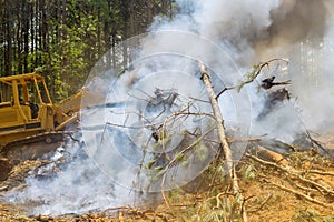 The development of a new plot of land for new construction using heavy equipment, bulldozing, and burning the woods is