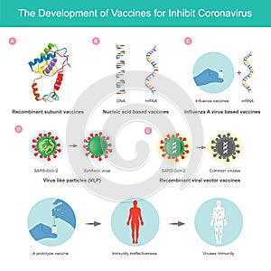 The Development of Vaccines for Inhibit Coronavirus. Il
