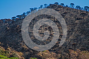 2017 Fires in South of France