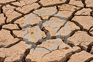 Deviation of the dry season until the land cracked.