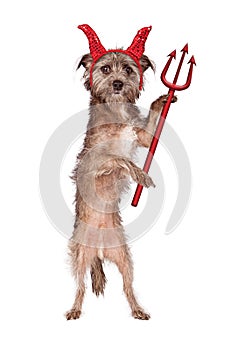 Devil Dog With Pitch Fork