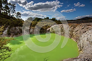 Devil`s Bath green pond at Wai-O-Tapu, Rotorua, North Island, New Zealand