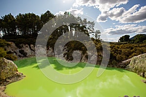 Devil`s Bath green pond at Wai-O-Tapu, Rotorua, North Island, New Zealand