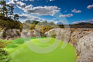 Devil`s Bath green pond at Wai-O-Tapu, Rotorua, North Island, New Zealand