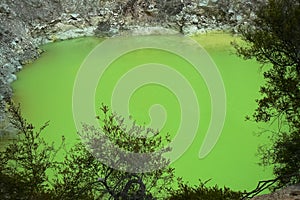 Devil`s Bath green pond at Wai-O-Tapu thermal wonderland, Rotorua, North Island, New Zealand